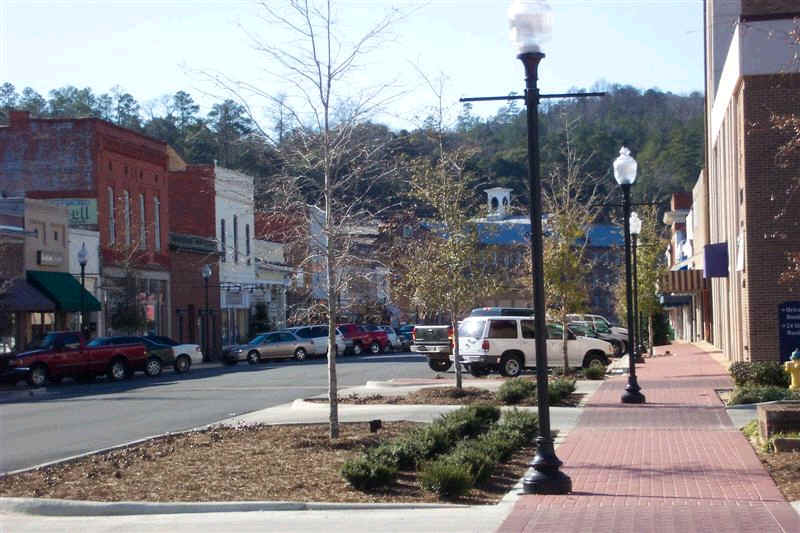 Prattville AL Wildlife Removal Anytime Wildlife Removal